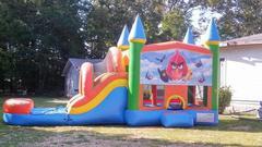 Angry Birds Angry Birds